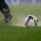Volewijckers 1 hard onderuit